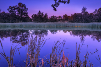 Evening on lake