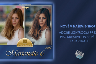 Marionette LR Presets